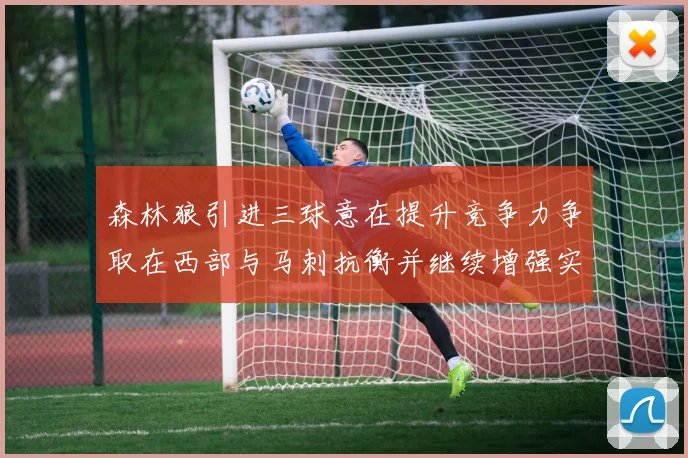 森林狼引进三球意在提升竞争力争取在西部与马刺抗衡并继续增强实力